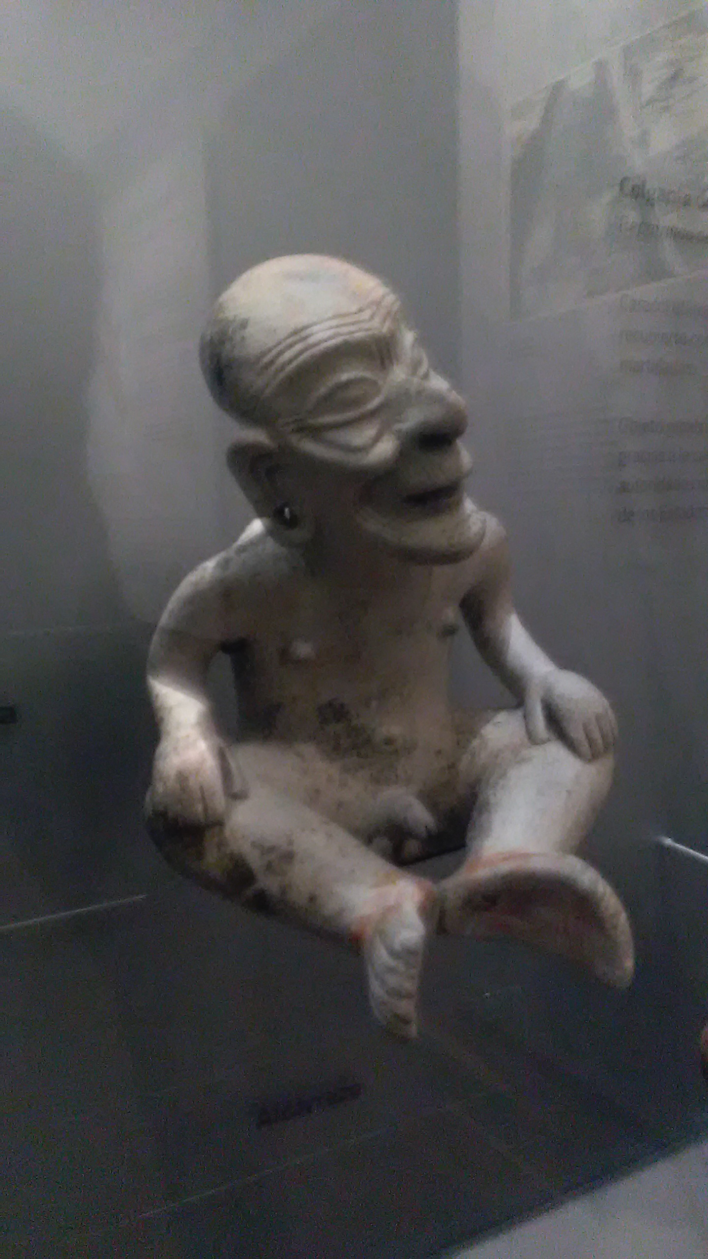 Prehistoric art in Bogot&aacute;'s Museo Nacional