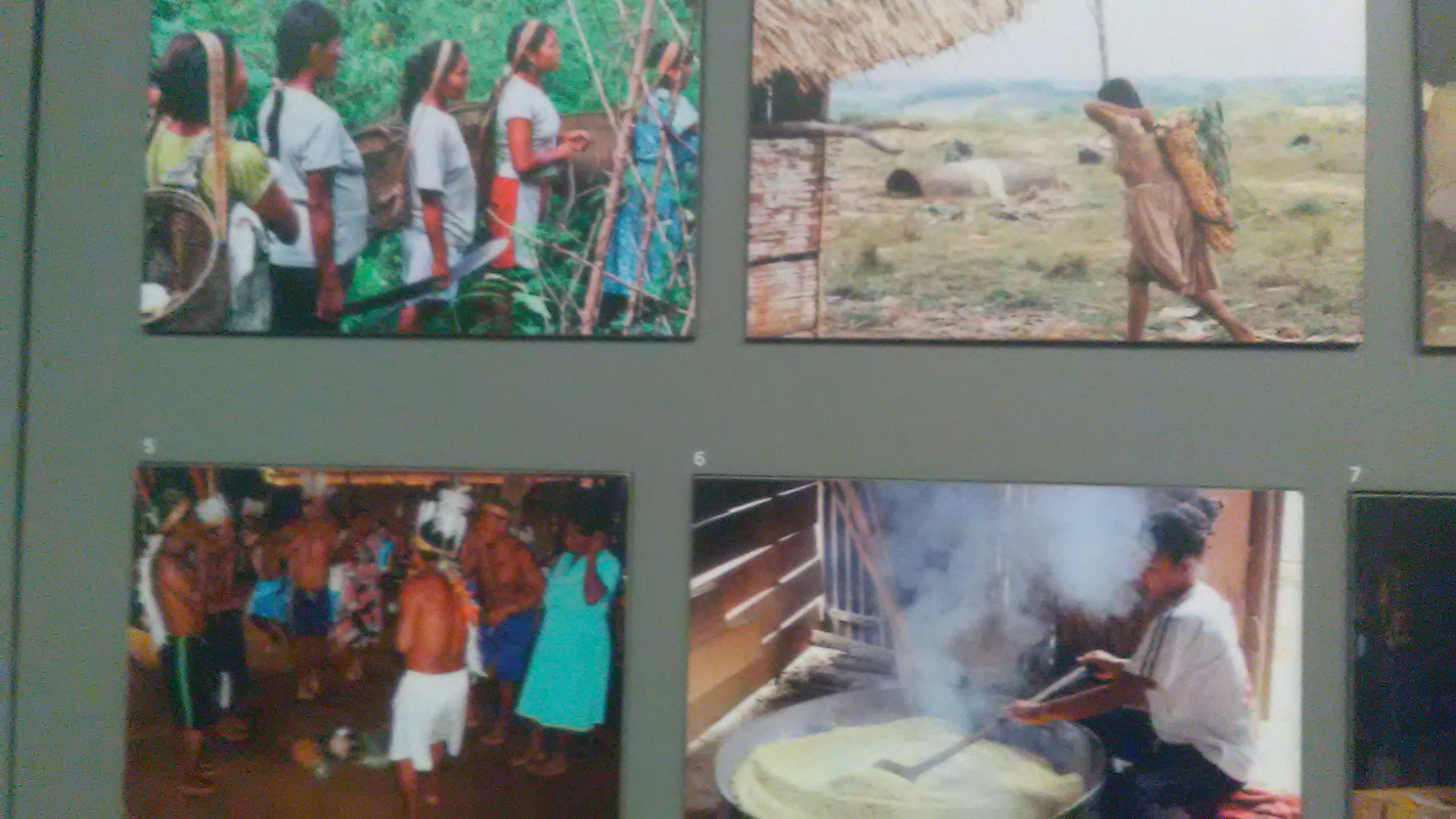 Image of indigenous lives in Bogot&aacute;'s Museo Nacional